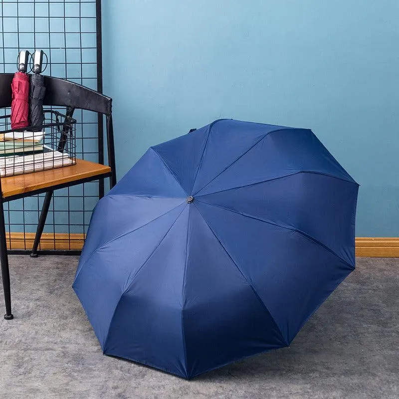 Automatic Umbrella Auto Open Close Compact Folding Anti Rain Windproof 10Ribs Au