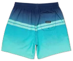 Hurley Cannonball Volley 17" Boardshort