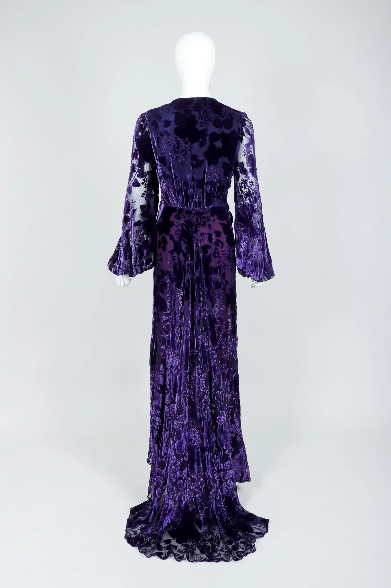 Sheer Velvet Burnout Gown