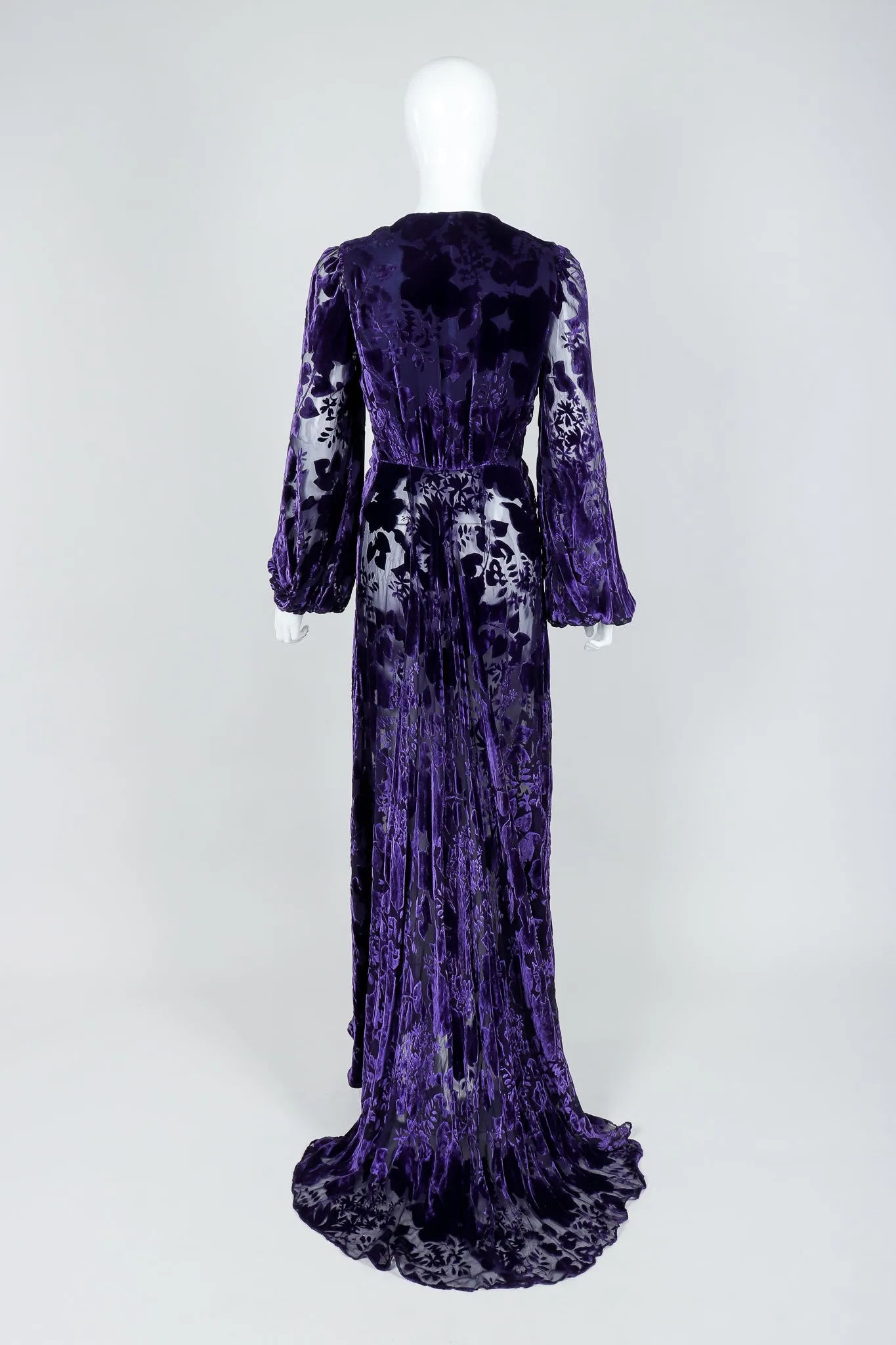 Sheer Velvet Burnout Gown