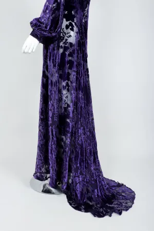 Sheer Velvet Burnout Gown