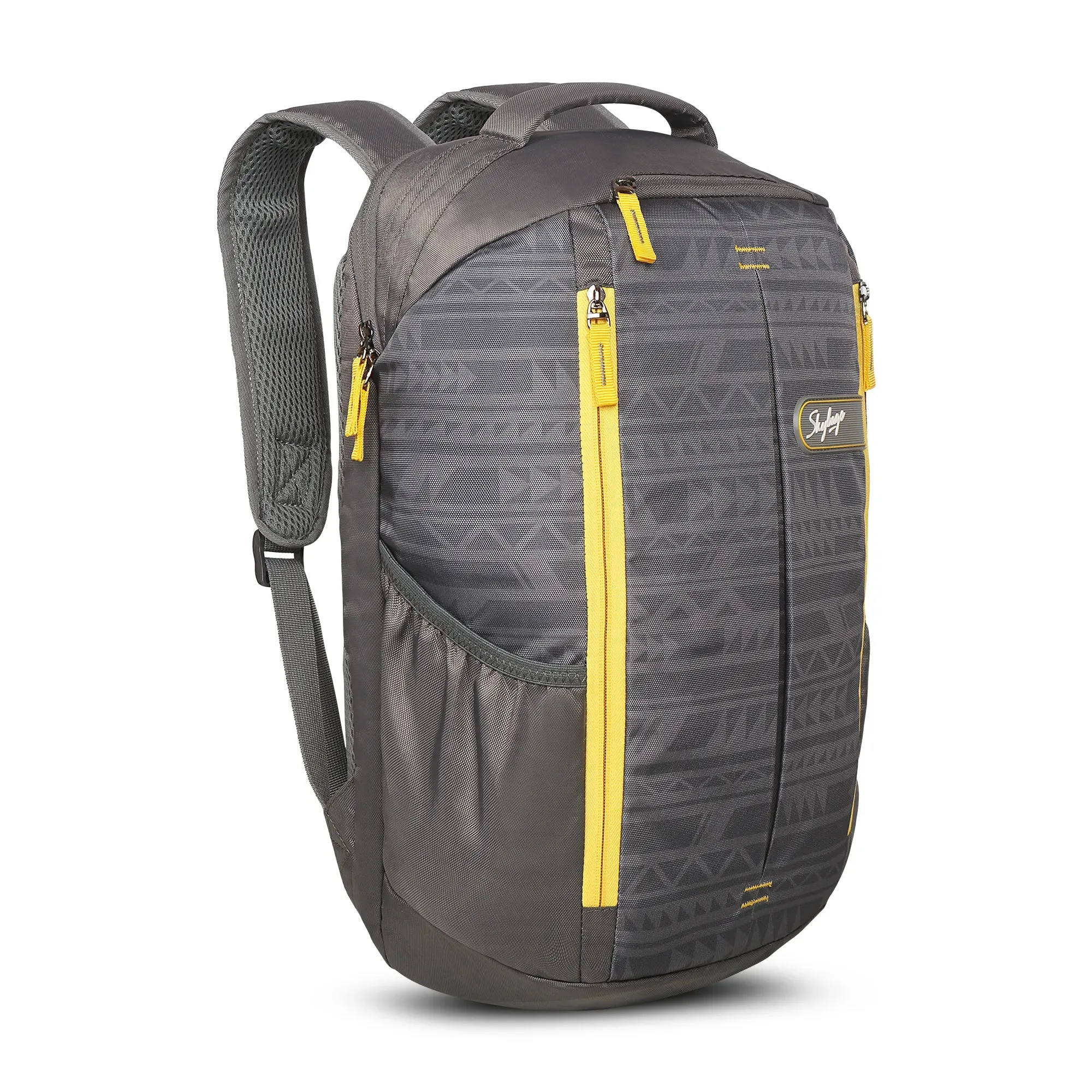 Skybags Offroader NX  02 Laptop Backpack Grey