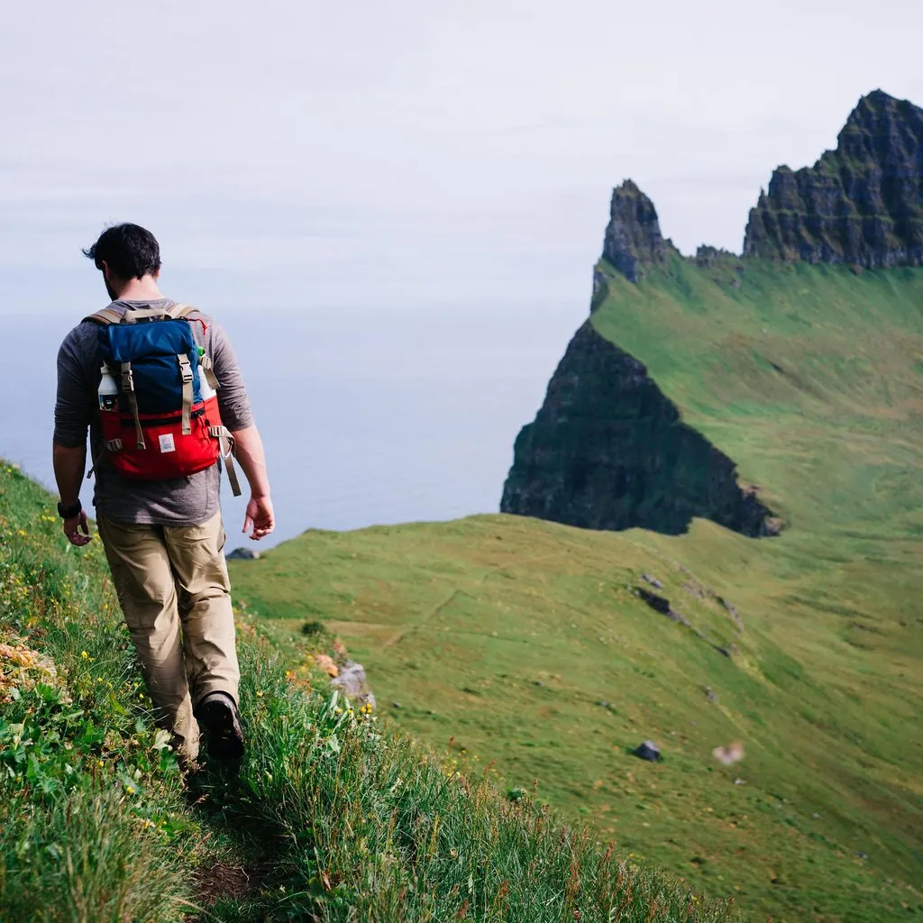 Topo Designs Rover Pack